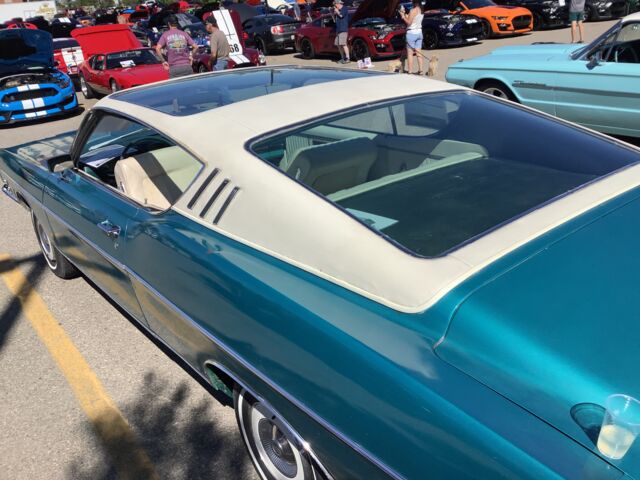 IMG_3508.jpeg IMG_3508.jpeg