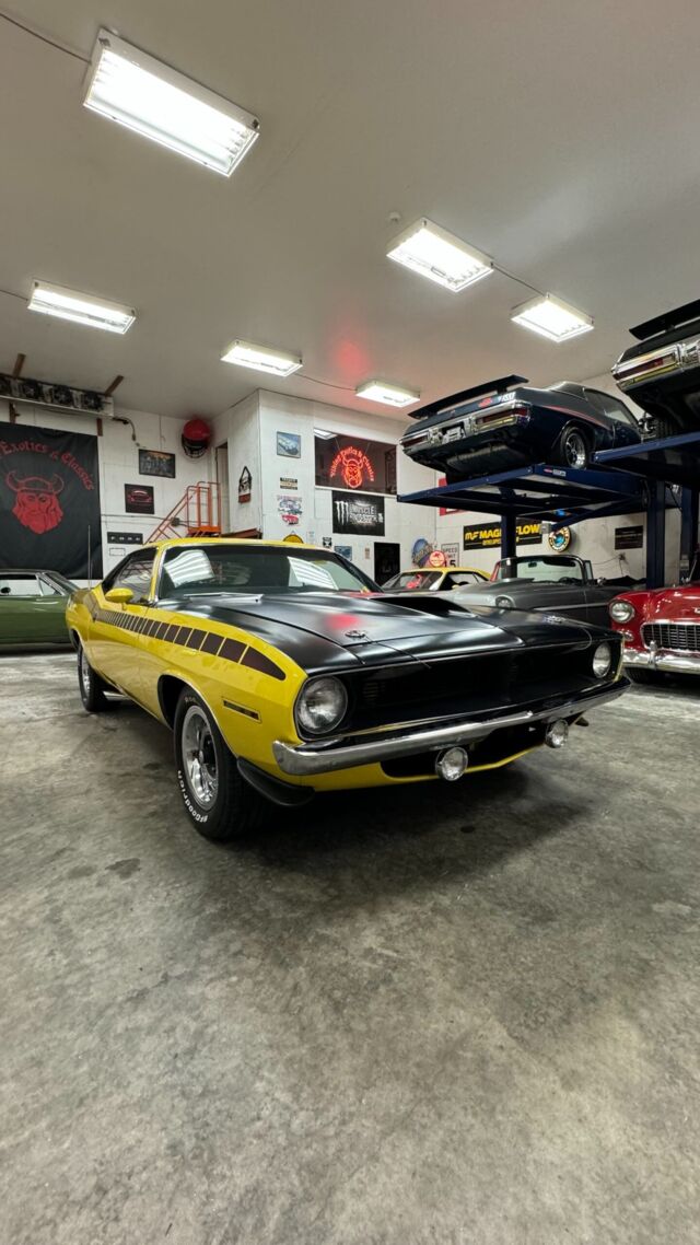 img_3589-scaled.jpeg img_3589-scaled.jpeg