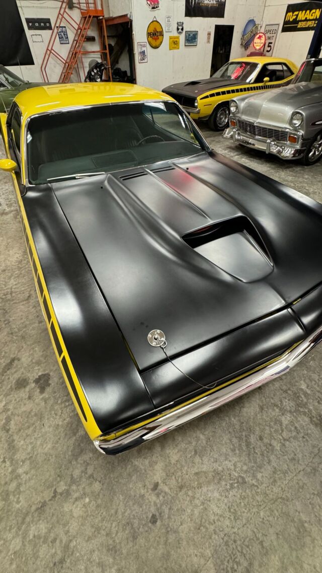 img_3592-scaled.jpeg img_3592-scaled.jpeg