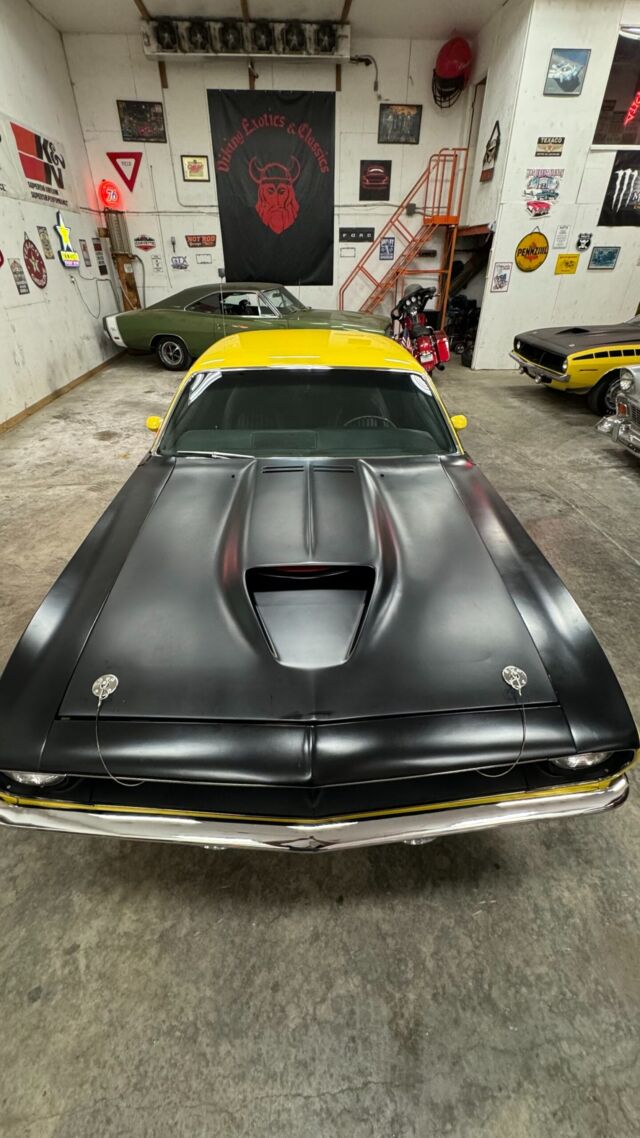 img_3593-scaled.jpeg img_3593-scaled.jpeg