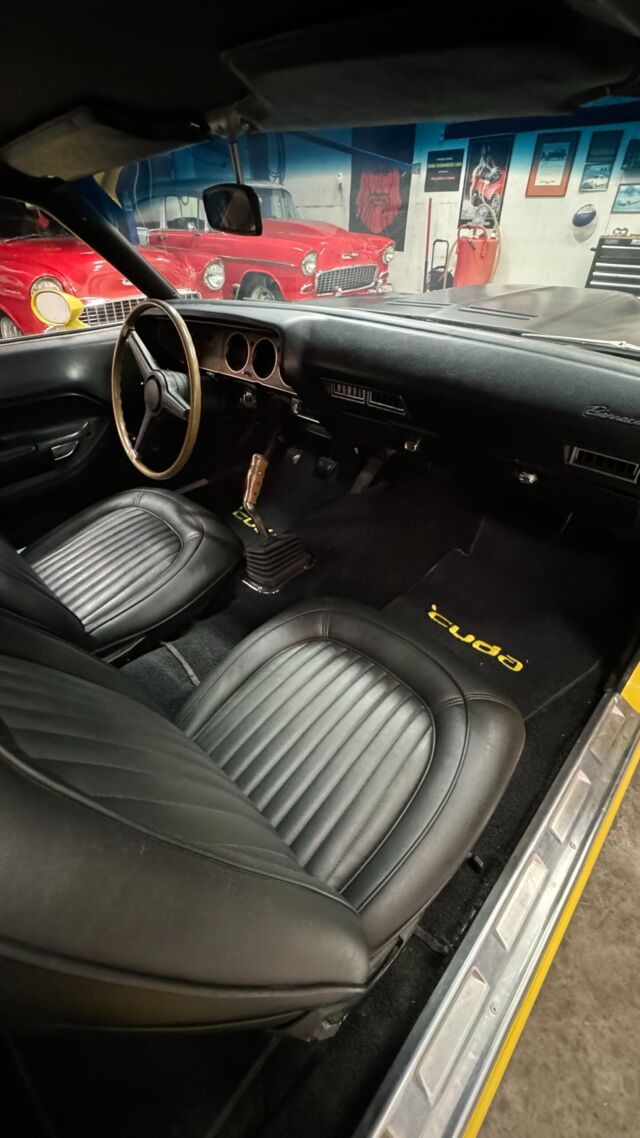 img_3599-scaled.jpeg img_3599-scaled.jpeg