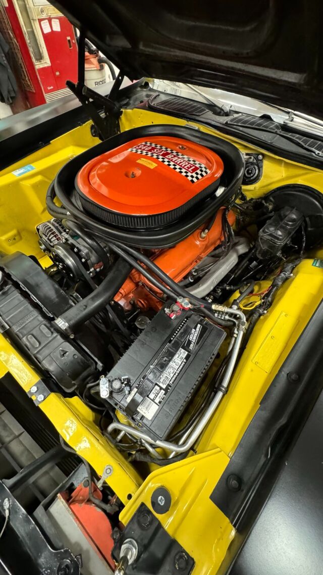 img_3609-scaled.jpeg img_3609-scaled.jpeg