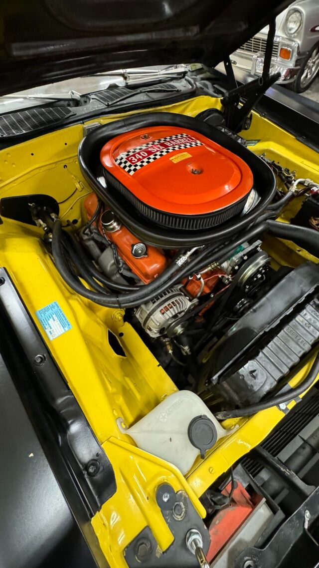 img_3610-scaled.jpeg img_3610-scaled.jpeg