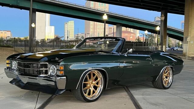 5f9cb2_e915ac0973e2481d845b6fdd3fb8257b~mv2 Large.jpeg 5f9cb2_e915ac0973e2481d845b6fdd3fb8257b~mv2 Large.jpeg