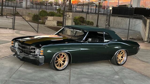 5f9cb2_f0cbd7df0d3e4b8f9ebc2d02db3417aa~mv2 Large.jpeg 5f9cb2_f0cbd7df0d3e4b8f9ebc2d02db3417aa~mv2 Large.jpeg