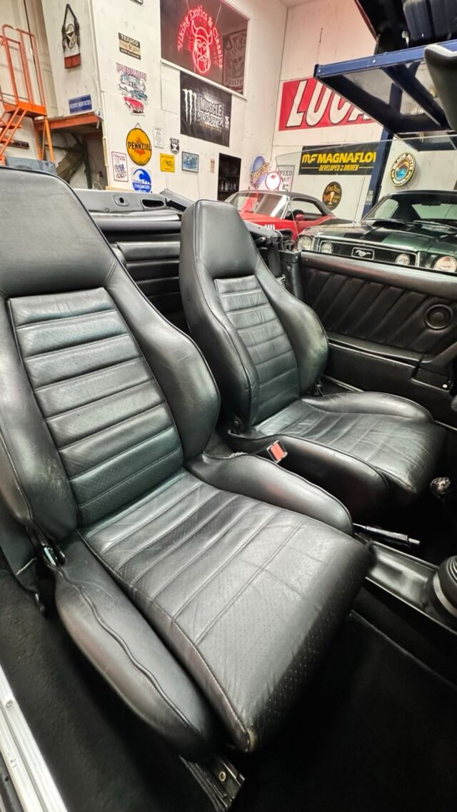 img_4822-scaled Large.jpeg img_4822-scaled Large.jpeg