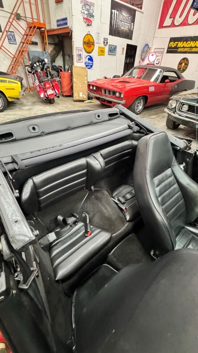 img_4823-scaled Large.jpeg img_4823-scaled Large.jpeg