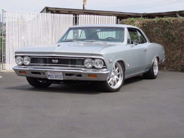 IMG_0005.jpeg IMG_0005.jpeg