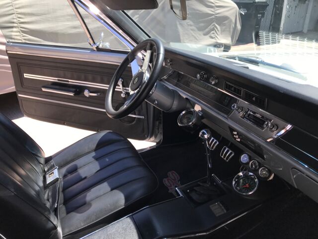 IMG_6858.jpeg IMG_6858.jpeg