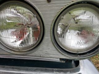 IMG_6174.jpg IMG_6174.jpg