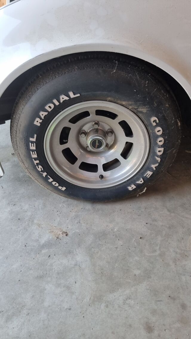 1000026128.jpg 1000026128.jpg