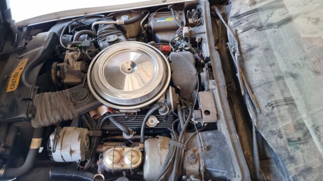 1000026127.jpg 1000026127.jpg