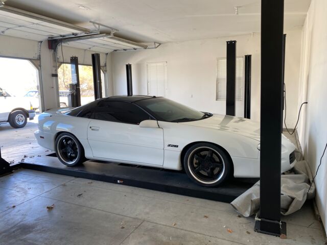 IMG_1137.jpeg IMG_1137.jpeg