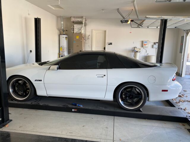 IMG_1142.jpeg IMG_1142.jpeg