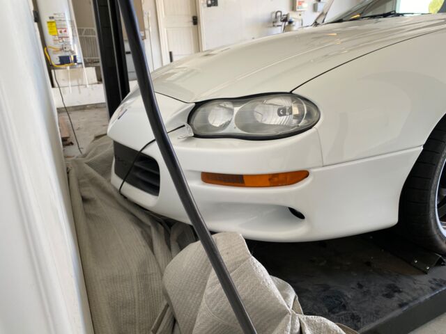 IMG_1143.jpeg IMG_1143.jpeg