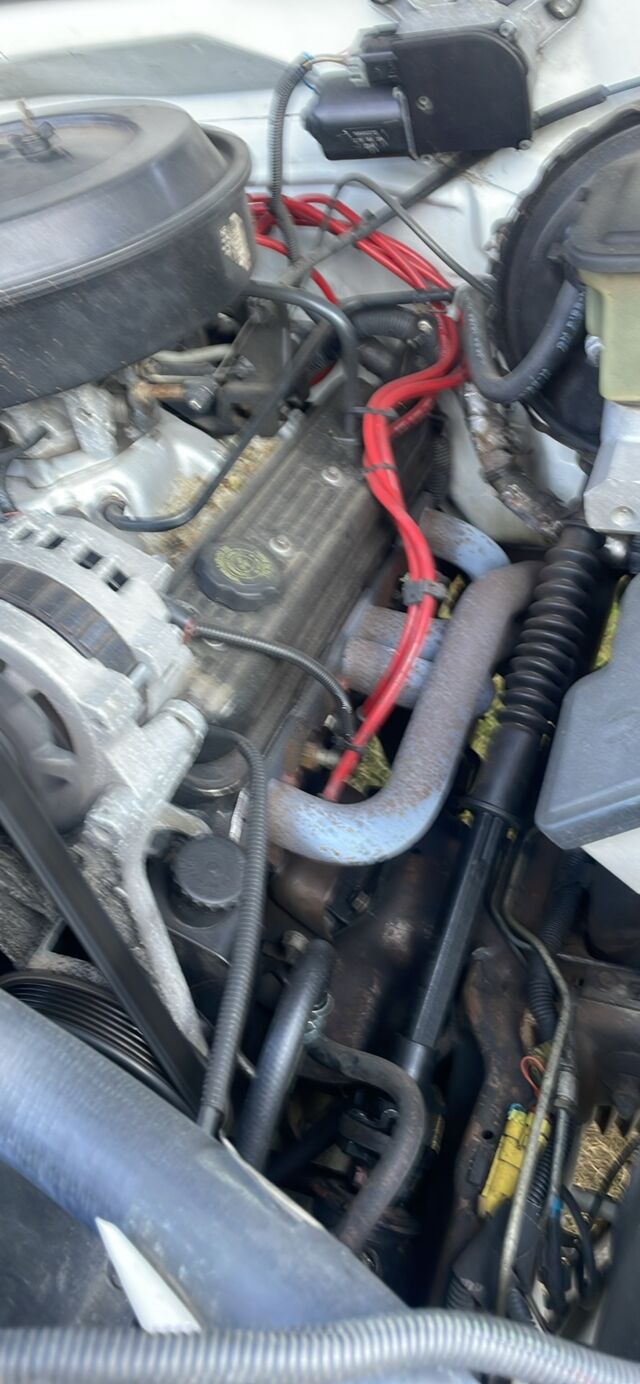 1246AC84-4683-4DBF-AF59-7EB0FDE5D13C.jpeg 1246AC84-4683-4DBF-AF59-7EB0FDE5D13C.jpeg