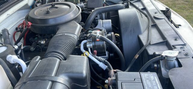 8F9F1CEC-5C01-4C71-B64F-9961DA81C43F.jpeg 8F9F1CEC-5C01-4C71-B64F-9961DA81C43F.jpeg