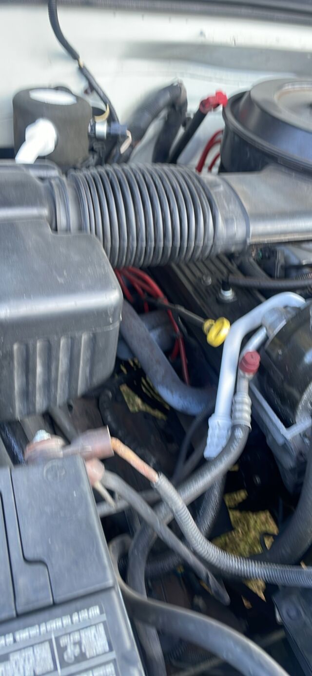 76C11E92-EFB1-46C8-9CF6-347821065DB4.jpeg 76C11E92-EFB1-46C8-9CF6-347821065DB4.jpeg