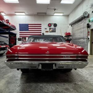 img_4251-1-300x300.jpeg img_4251-1-300x300.jpeg