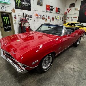 img_4262-1-300x300.jpeg img_4262-1-300x300.jpeg