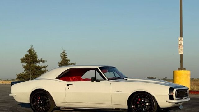 5f9cb2_02cf832e24c24da68790b4fb377753e0~mv2 Large.jpeg 5f9cb2_02cf832e24c24da68790b4fb377753e0~mv2 Large.jpeg