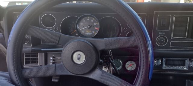 IMG_20250207_111044521_HDR.jpg IMG_20250207_111044521_HDR.jpg