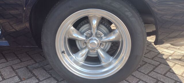 IMG_20250207_111226990.jpg IMG_20250207_111226990.jpg