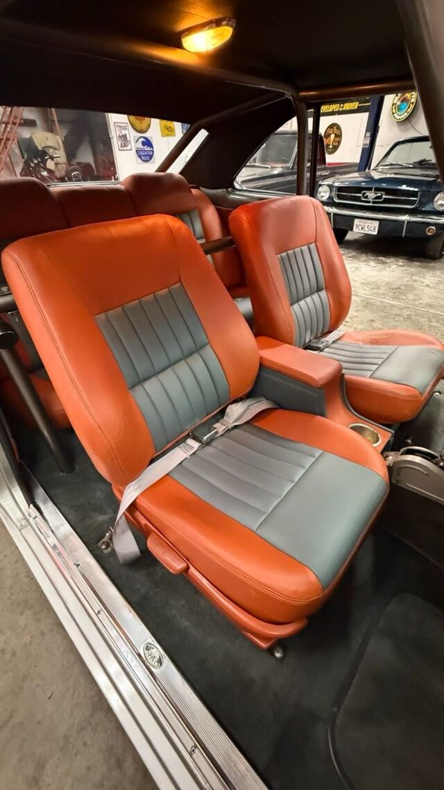 img_7823-scaled Large.jpeg img_7823-scaled Large.jpeg