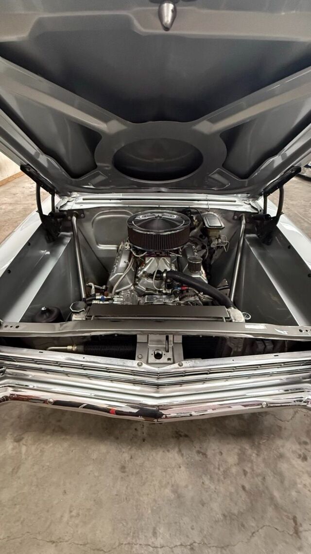 img_7834-scaled Large.jpeg img_7834-scaled Large.jpeg