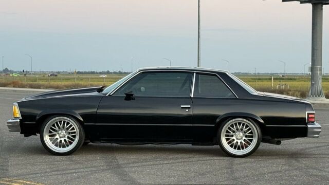 5f9cb2_d356994f03e940c7b15c32bc0e4e8fd5~mv2 Large.jpeg 5f9cb2_d356994f03e940c7b15c32bc0e4e8fd5~mv2 Large.jpeg