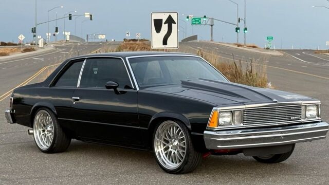 5f9cb2_80bcda82ef7b4efb91d5d9af704b578b~mv2 Large.jpeg 5f9cb2_80bcda82ef7b4efb91d5d9af704b578b~mv2 Large.jpeg