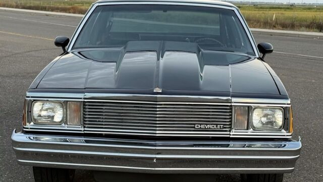 5f9cb2_191399895d624a92aa5bfcfa505460a1~mv2 Large.jpeg 5f9cb2_191399895d624a92aa5bfcfa505460a1~mv2 Large.jpeg