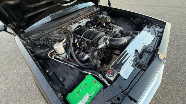 5f9cb2_f6e7d6feeeed4537a997fc8d205e9d1a~mv2 Large.jpeg 5f9cb2_f6e7d6feeeed4537a997fc8d205e9d1a~mv2 Large.jpeg