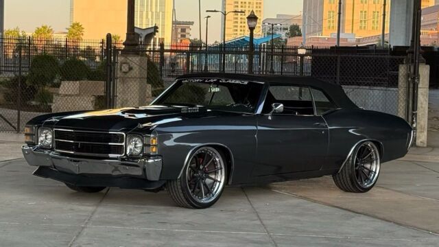 5f9cb2_93146c983bb24e56878b17e470422c14~mv2 Large.jpeg 5f9cb2_93146c983bb24e56878b17e470422c14~mv2 Large.jpeg