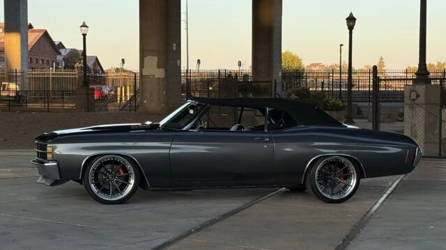 5f9cb2_ef5b7f4748c74922811da0f27f7d03f5~mv2 Large.jpeg 5f9cb2_ef5b7f4748c74922811da0f27f7d03f5~mv2 Large.jpeg