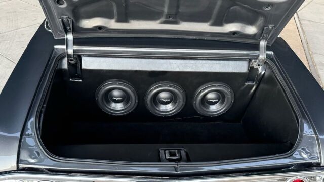 5f9cb2_e1647d24914d4058955cf6a28b1bc881~mv2 Large.jpeg 5f9cb2_e1647d24914d4058955cf6a28b1bc881~mv2 Large.jpeg