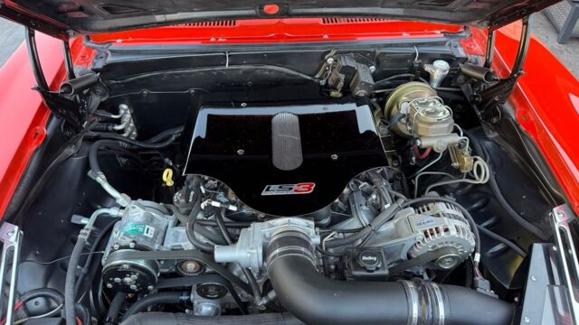 5f9cb2_26c69a856075416498b43b415c447ada~mv2 Large.jpeg 5f9cb2_26c69a856075416498b43b415c447ada~mv2 Large.jpeg